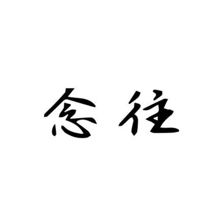 念往数商 Logo